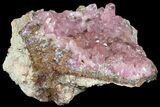 Cobaltoan Calcite Crystal Cluster - Bou Azzer, Morocco #80139-2